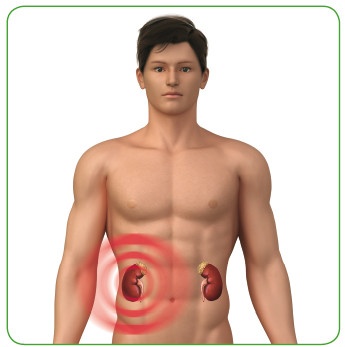 Иллюстрация к книге — Энциклопедия диагностики и лечения от А до Я [i_084.jpg]