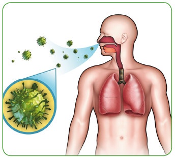 Иллюстрация к книге — Энциклопедия диагностики и лечения от А до Я [i_090.jpg]