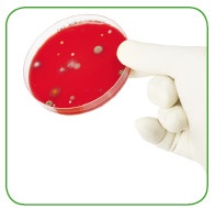 Иллюстрация к книге — Энциклопедия диагностики и лечения от А до Я [i_099.jpg]