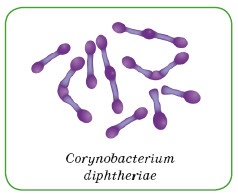 Иллюстрация к книге — Энциклопедия диагностики и лечения от А до Я [i_100.jpg]