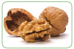 Иллюстрация к книге — Энциклопедия диагностики и лечения от А до Я [i_112.jpg]