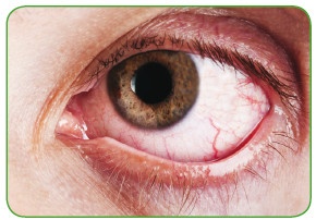 Иллюстрация к книге — Энциклопедия диагностики и лечения от А до Я [i_123.jpg]