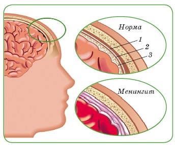 Иллюстрация к книге — Энциклопедия диагностики и лечения от А до Я [i_132.jpg]