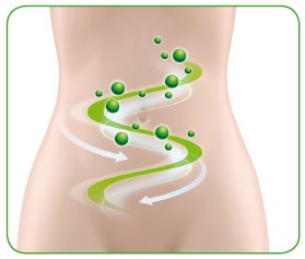 Иллюстрация к книге — Энциклопедия диагностики и лечения от А до Я [i_133.jpg]