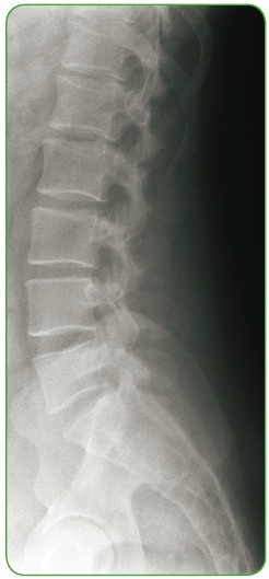 Иллюстрация к книге — Энциклопедия диагностики и лечения от А до Я [i_152.jpg]