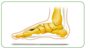 Иллюстрация к книге — Энциклопедия диагностики и лечения от А до Я [i_164.jpg]
