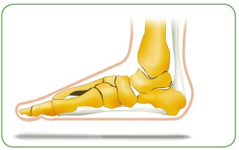 Иллюстрация к книге — Энциклопедия диагностики и лечения от А до Я [i_165.jpg]