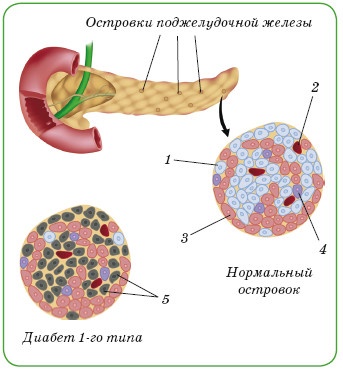 Иллюстрация к книге — Энциклопедия диагностики и лечения от А до Я [i_179.jpg]