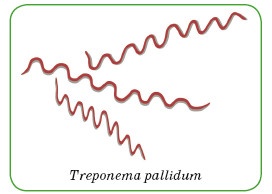 Иллюстрация к книге — Энциклопедия диагностики и лечения от А до Я [i_191.jpg]