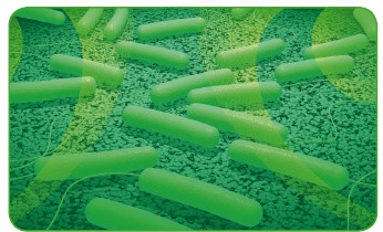 Иллюстрация к книге — Энциклопедия диагностики и лечения от А до Я [i_208.jpg]