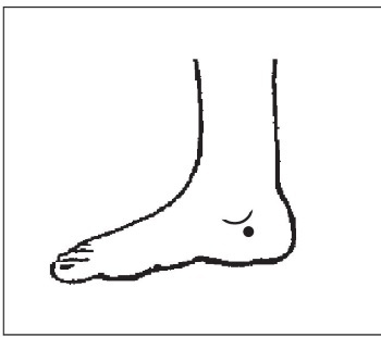 Иллюстрация к книге — Болезни от А до Я. Традиционное и нетрадиционное лечение [i_002.jpg]