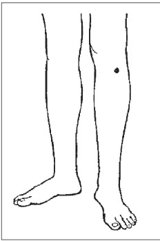Иллюстрация к книге — Болезни от А до Я. Традиционное и нетрадиционное лечение [i_007.jpg]