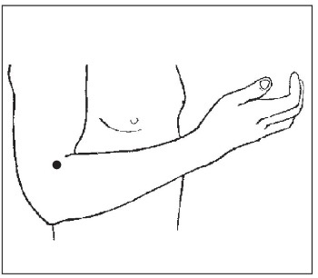Иллюстрация к книге — Болезни от А до Я. Традиционное и нетрадиционное лечение [i_011.jpg]