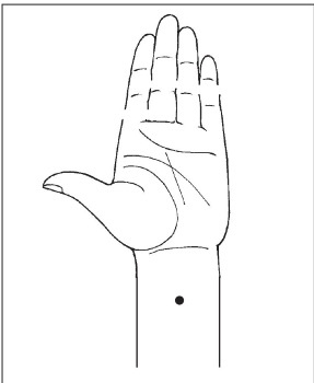 Иллюстрация к книге — Болезни от А до Я. Традиционное и нетрадиционное лечение [i_016.jpg]