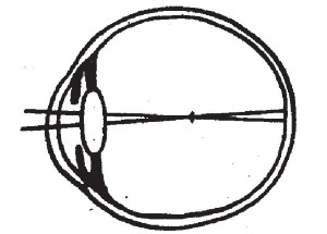 Иллюстрация к книге — Болезни от А до Я. Традиционное и нетрадиционное лечение [i_021.jpg]