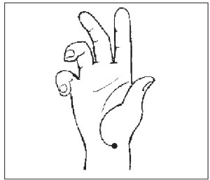 Иллюстрация к книге — Болезни от А до Я. Традиционное и нетрадиционное лечение [i_027.jpg]