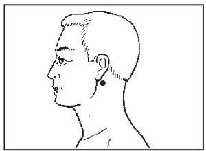 Иллюстрация к книге — Болезни от А до Я. Традиционное и нетрадиционное лечение [i_031.jpg]