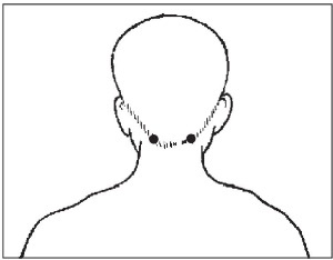 Иллюстрация к книге — Болезни от А до Я. Традиционное и нетрадиционное лечение [i_034.jpg]