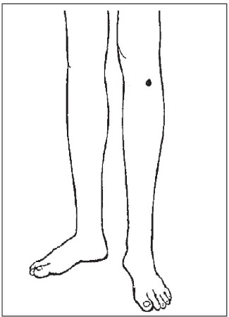 Иллюстрация к книге — Болезни от А до Я. Традиционное и нетрадиционное лечение [i_036.jpg]