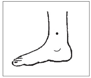 Иллюстрация к книге — Болезни от А до Я. Традиционное и нетрадиционное лечение [i_046.jpg]