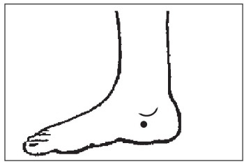 Иллюстрация к книге — Болезни от А до Я. Традиционное и нетрадиционное лечение [i_069.jpg]