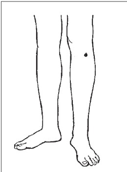 Иллюстрация к книге — Болезни от А до Я. Традиционное и нетрадиционное лечение [i_075.jpg]