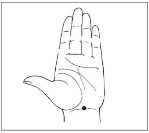 Иллюстрация к книге — Болезни от А до Я. Традиционное и нетрадиционное лечение [i_080.jpg]