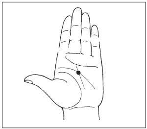 Иллюстрация к книге — Болезни от А до Я. Традиционное и нетрадиционное лечение [i_081.jpg]