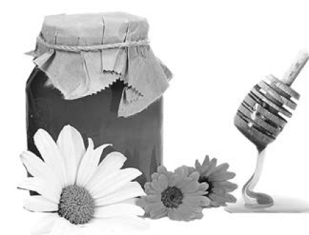 Иллюстрация к книге — Целительная сила меда [i_003.jpg]