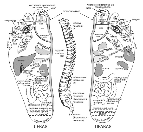 Иллюстрация к книге — Жизнь после инсульта [autogen_ebook_id2.jpg]