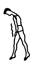 Иллюстрация к книге — Секреты мужского здоровья. Слабые места сильного пола [i_018.jpg]