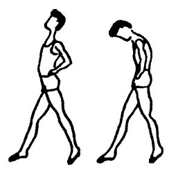 Иллюстрация к книге — Секреты мужского здоровья. Слабые места сильного пола [i_021.jpg]