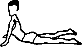 Иллюстрация к книге — Секреты мужского здоровья. Слабые места сильного пола [i_042.jpg]