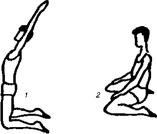 Иллюстрация к книге — Секреты мужского здоровья. Слабые места сильного пола [i_043.jpg]