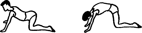 Иллюстрация к книге — Секреты мужского здоровья. Слабые места сильного пола [i_046.jpg]