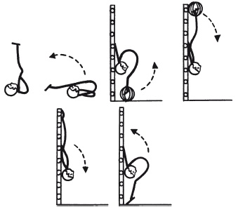 Иллюстрация к книге — Как избавиться от боли в спине [i_105.jpg]