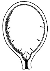 Иллюстрация к книге — Гимнастика для женщин [i_024.jpg]