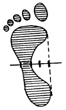 Иллюстрация к книге — Гимнастика для женщин [i_059.jpg]