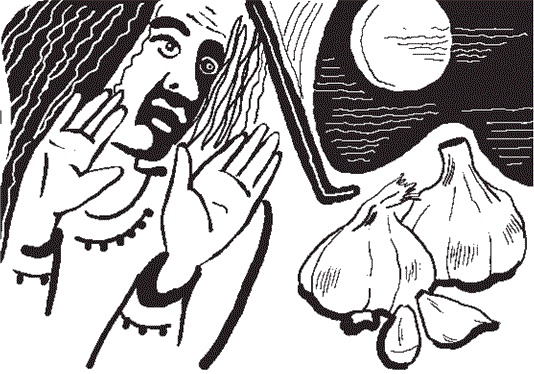 Иллюстрация к книге — Чеснок для лечения и очищения [i_005.jpg]