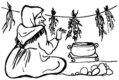 Иллюстрация к книге — Мухомор-целитель и другие ядовитые лекари [i_009.jpg]