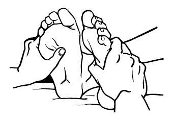 Иллюстрация к книге — 365 секретов для красоты и здоровья женщины [i_003.jpg]