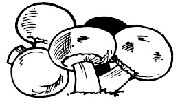 Иллюстрация к книге — 365 секретов для красоты и здоровья женщины [i_006.jpg]