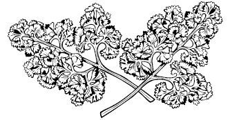 Иллюстрация к книге — 365 секретов для красоты и здоровья женщины [i_022.jpg]