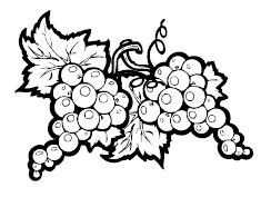 Иллюстрация к книге — 365 секретов для красоты и здоровья женщины [i_023.jpg]