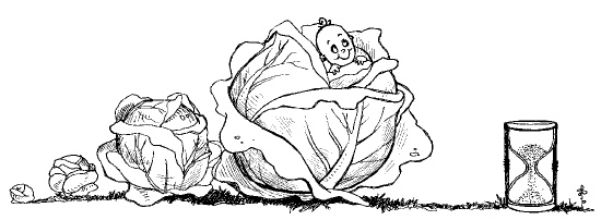 Иллюстрация к книге — Счастливое материнство. Как родить здорового и умного ребенка [autogen_ebook_id1.jpg]