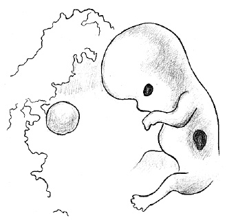 Иллюстрация к книге — Счастливое материнство. Как родить здорового и умного ребенка [autogen_ebook_id12.jpg]