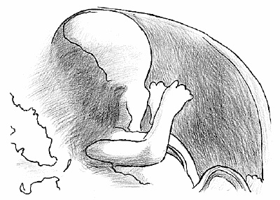 Иллюстрация к книге — Счастливое материнство. Как родить здорового и умного ребенка [autogen_ebook_id13.jpg]