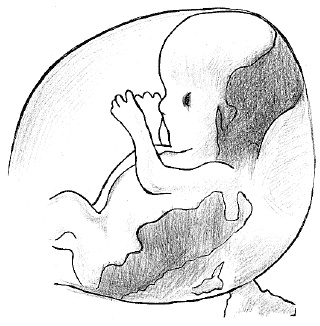 Иллюстрация к книге — Счастливое материнство. Как родить здорового и умного ребенка [autogen_ebook_id15.jpg]