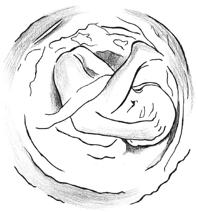 Иллюстрация к книге — Счастливое материнство. Как родить здорового и умного ребенка [autogen_ebook_id24.jpg]