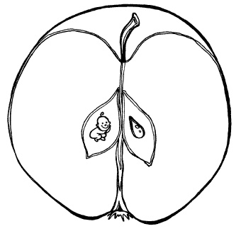 Иллюстрация к книге — Счастливое материнство. Как родить здорового и умного ребенка [autogen_ebook_id5.jpg]